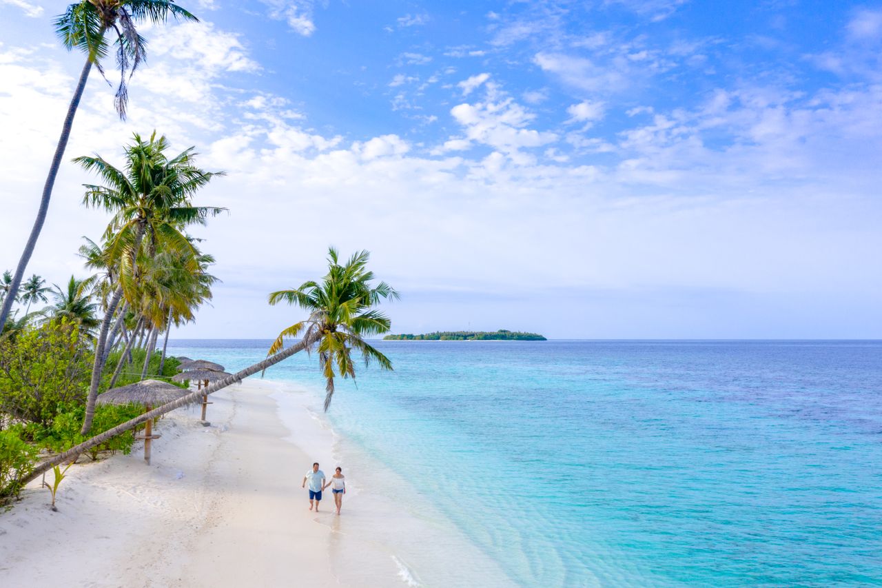 engagement-photography-03 Idyllic tropical beach scene with palm trees and clear ocean waters. Perfect for travel and relaxation themes.